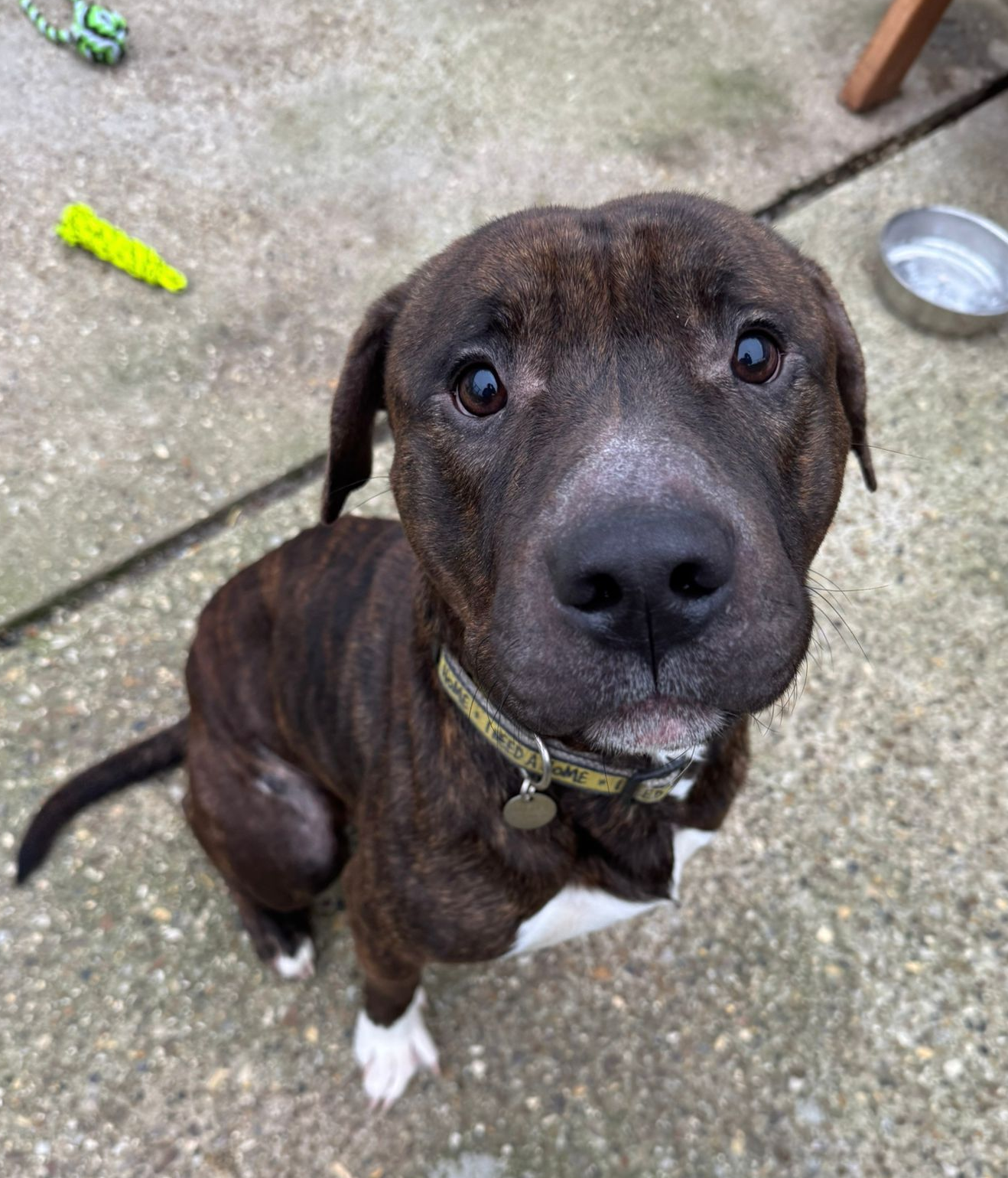 Underdog - I have been here a while :(
