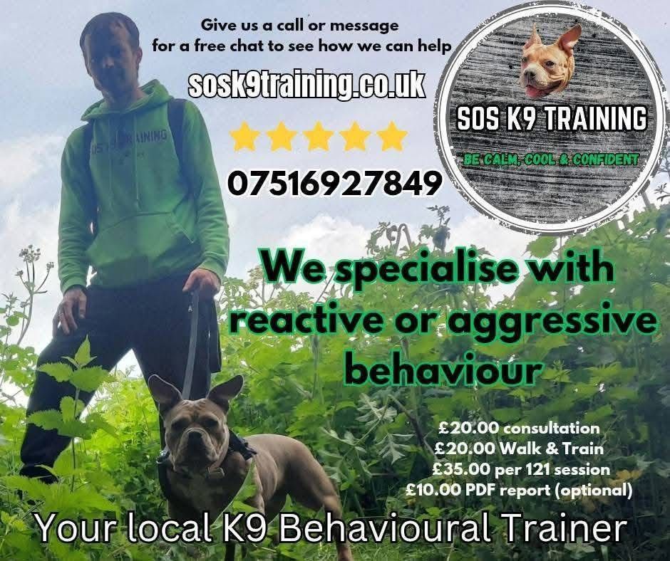 Woman with long brown hair, wearing a gray sweater, smiles at the camera in front of a white wall.