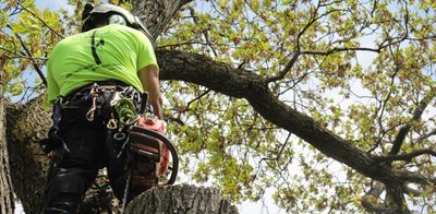 alpine tree service nj