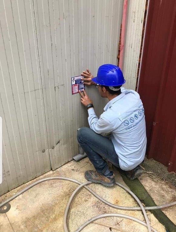 Disinfestazione derattizzazione