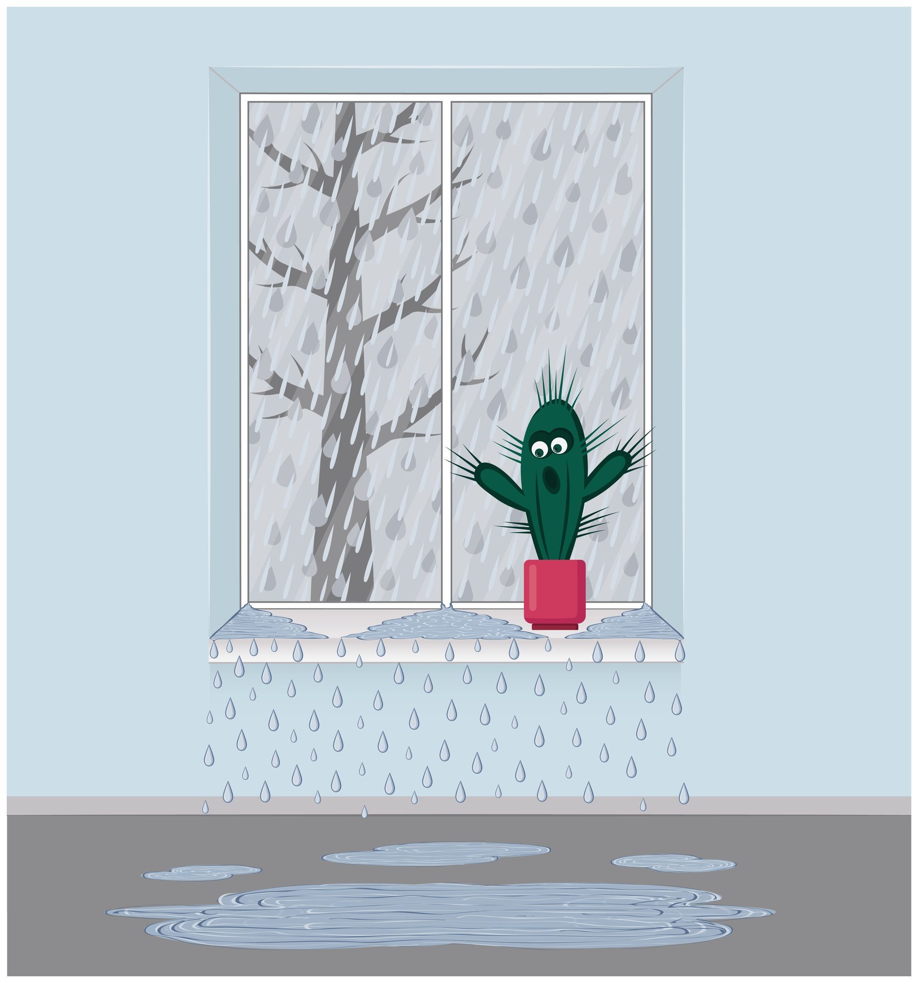 Water Damage to Windows: The Impact of Heavy Rain