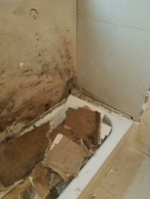toilet overflow damage