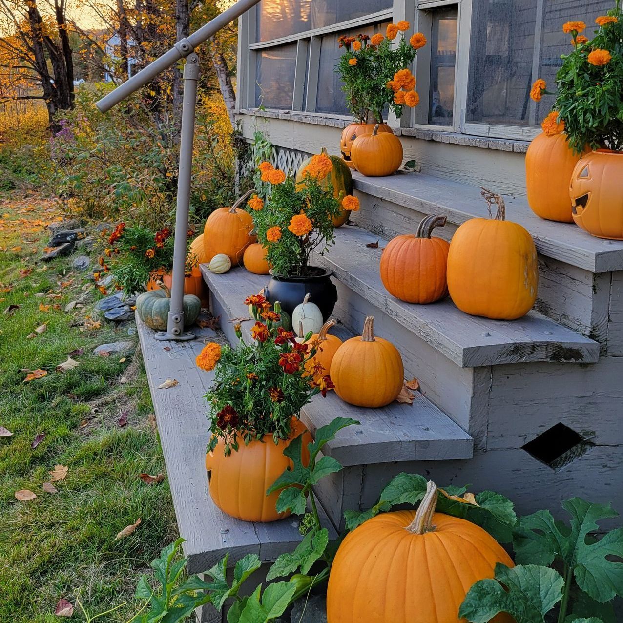 Marigolds and pumpkins decorate the stairs in front of Ostara's Grove Flower Farm in Lunenburg, VT