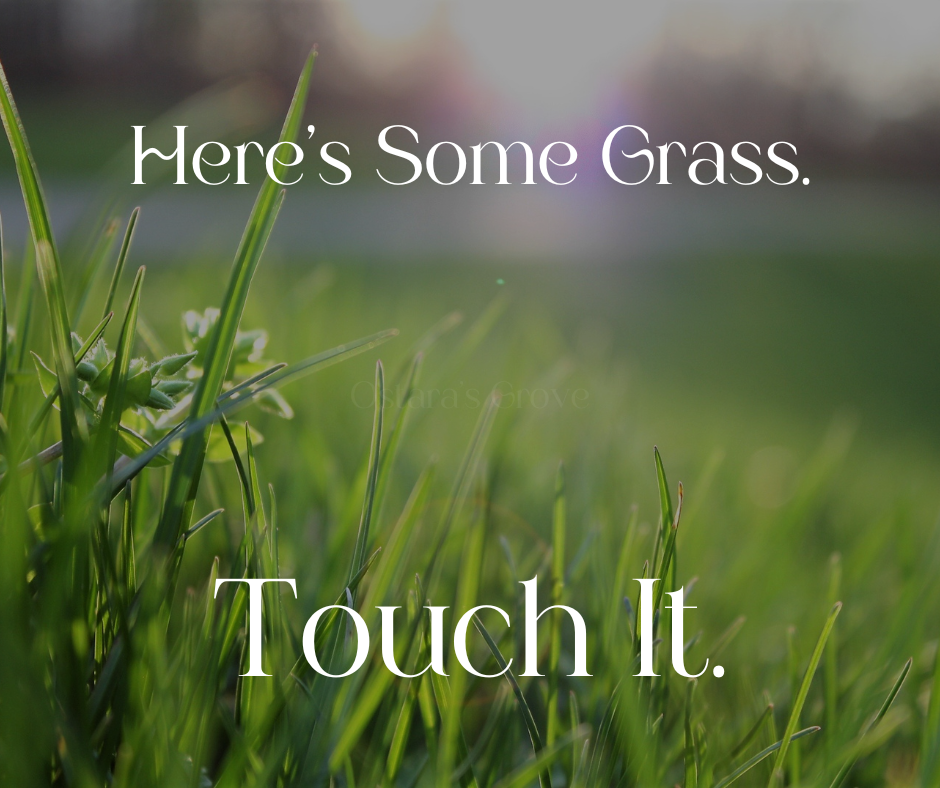 Here's Some Grass, Touch It, meme