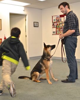 STEVE WITH DOJOARGENTINO DOG 'POMPERO' - Dog Training in Portland, OR