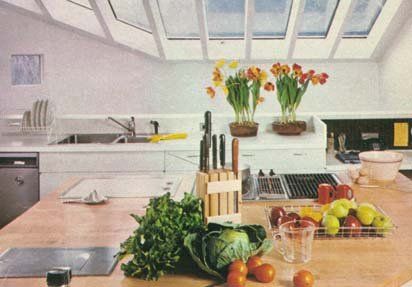 Rappaport Residence Kitchen, Logo