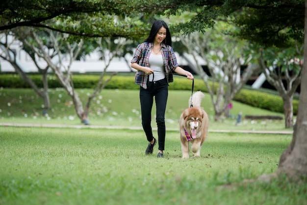 Woman walking a brown and white dog on a leash in a park on a sunny day.