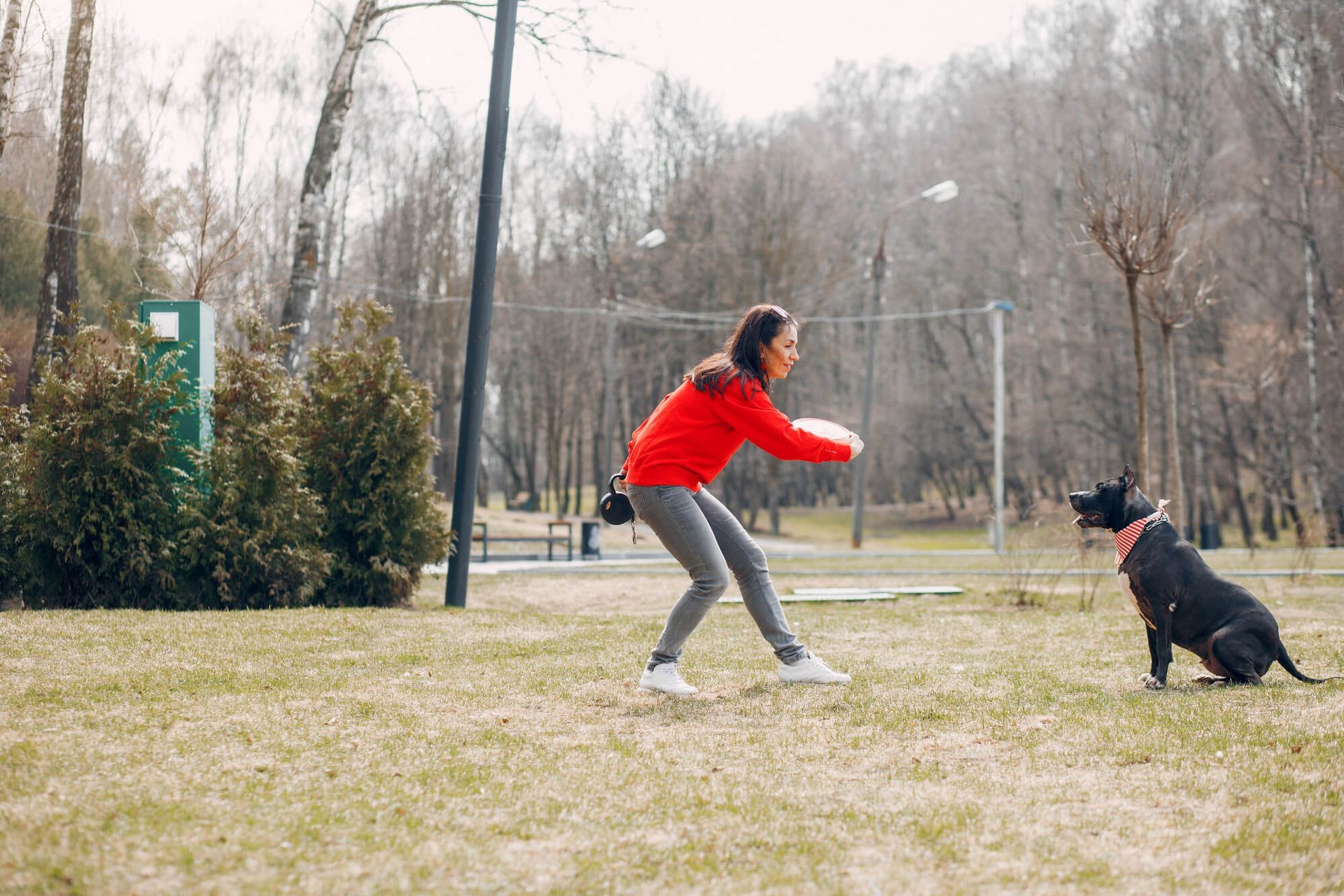 Woman in red jacket throwing a frisbee to a black dog in a park.