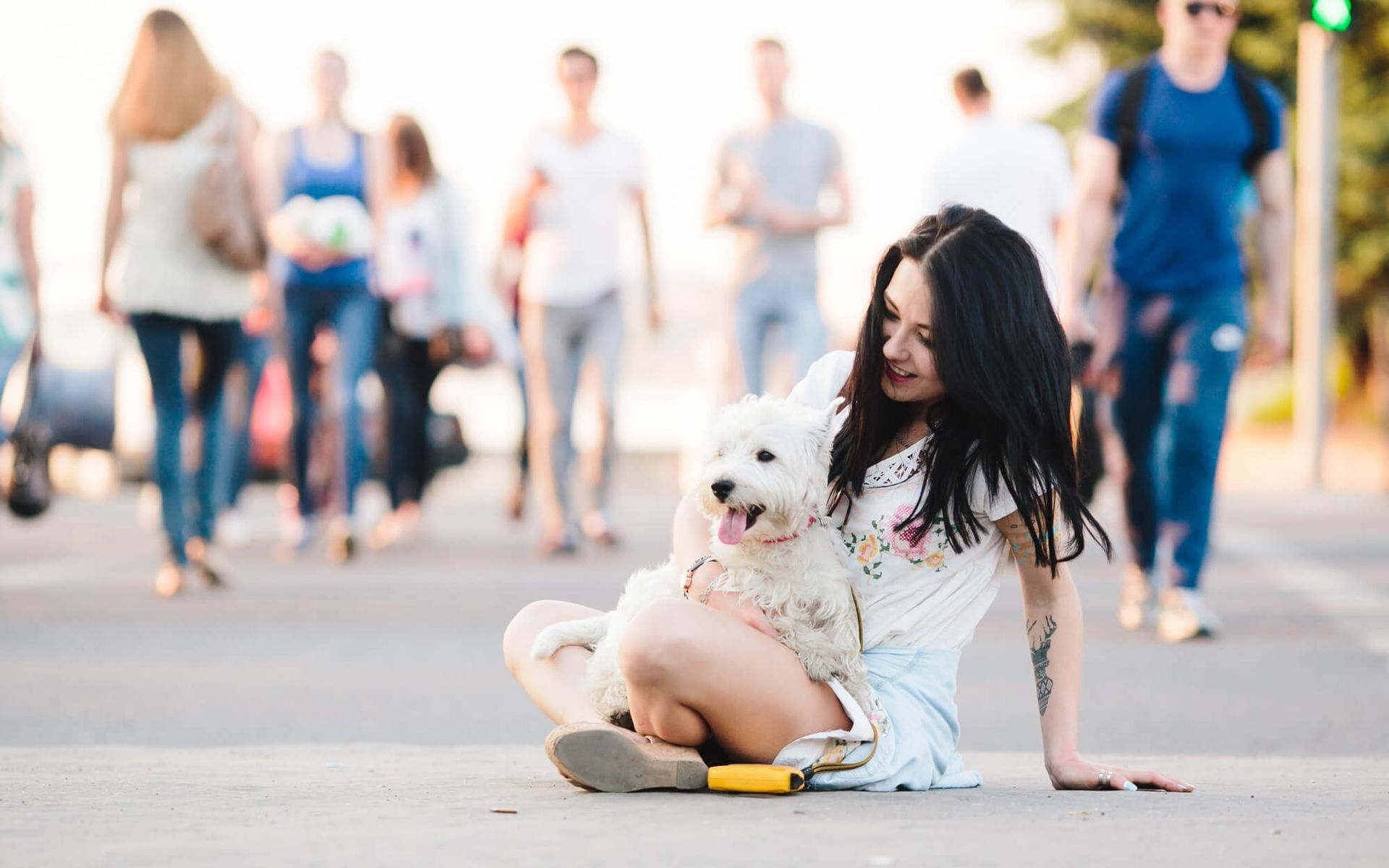 Woman sitting with a white dog in a crosswalk, surrounded by blurred people. Warm sunlight.
