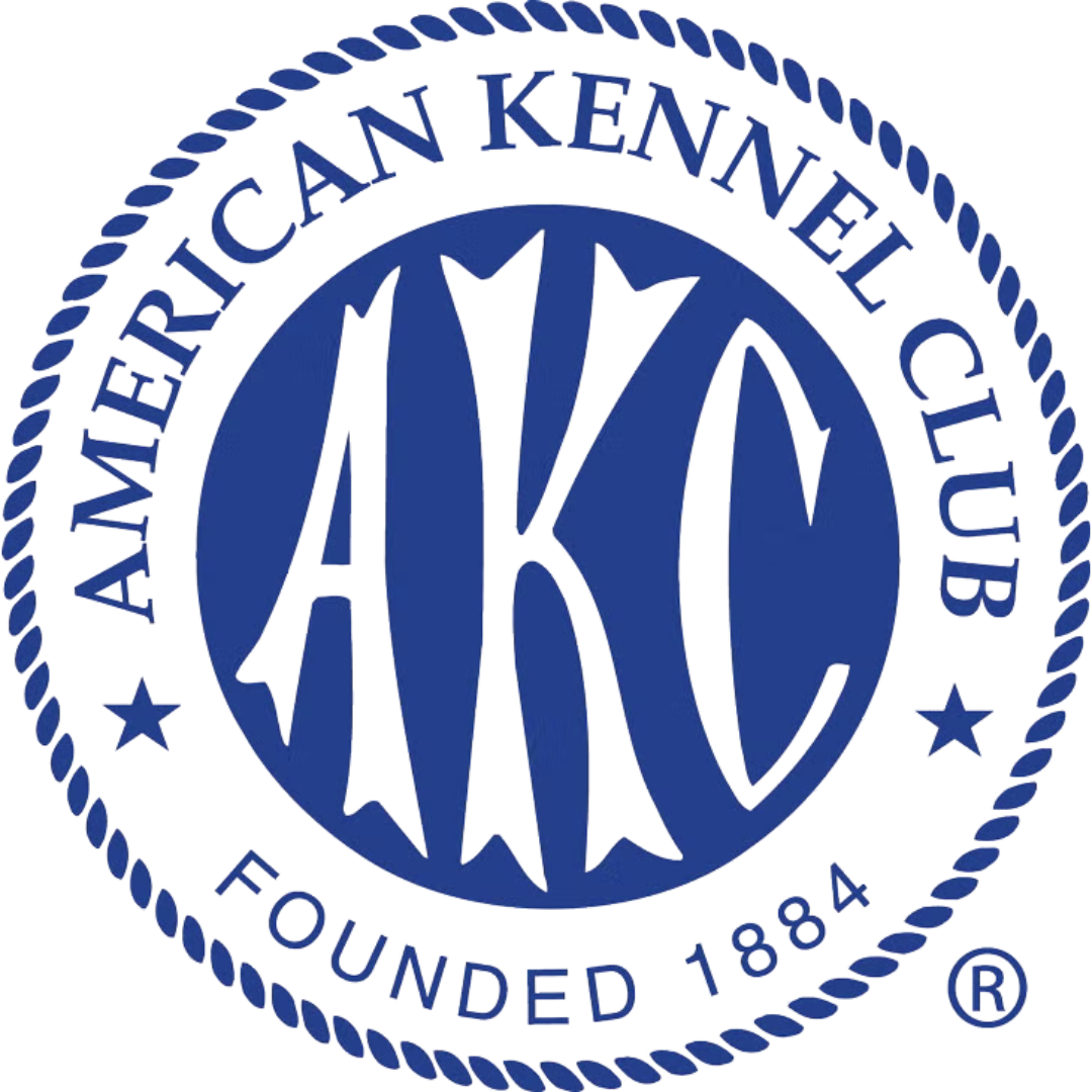 American Kennel Club logo: Blue circle with "AKC" in white, surrounded by "AMERICAN KENNEL CLUB" and "FOUNDED 1884".