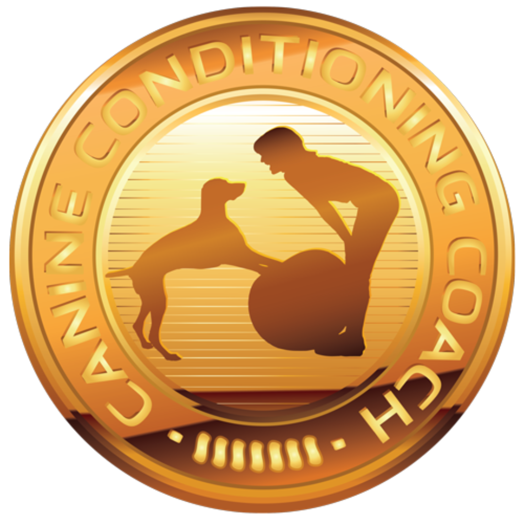 Gold coin logo: Silhouette of dog and person with exercise ball, text "Canine Conditioning Coach".