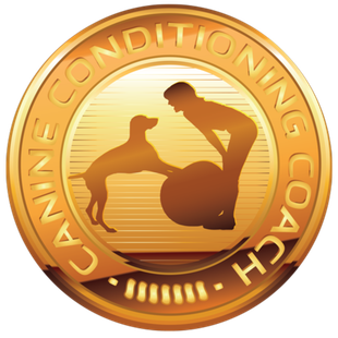 Gold coin logo: Silhouette of dog and person with exercise ball, text "Canine Conditioning Coach".