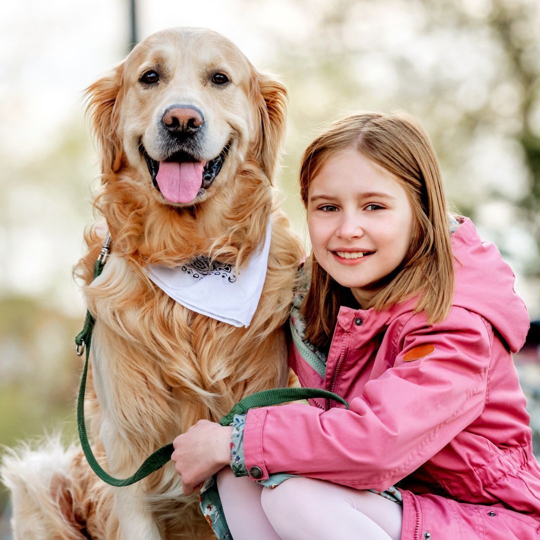 Girl in pink jacket with a golden retriever, both smiling outdoors. Dog wearing a bandana, holding leash.