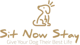 Logo of a dog sitting with rays above its head, with text 