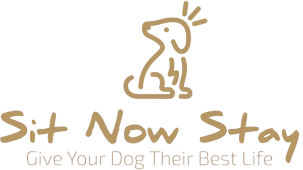 Logo of a dog sitting with rays above its head, with text 