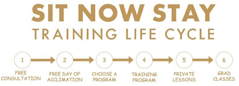 Training life cycle: steps 1-6 labeled as Free Consultation, Free Day of Acclimation,