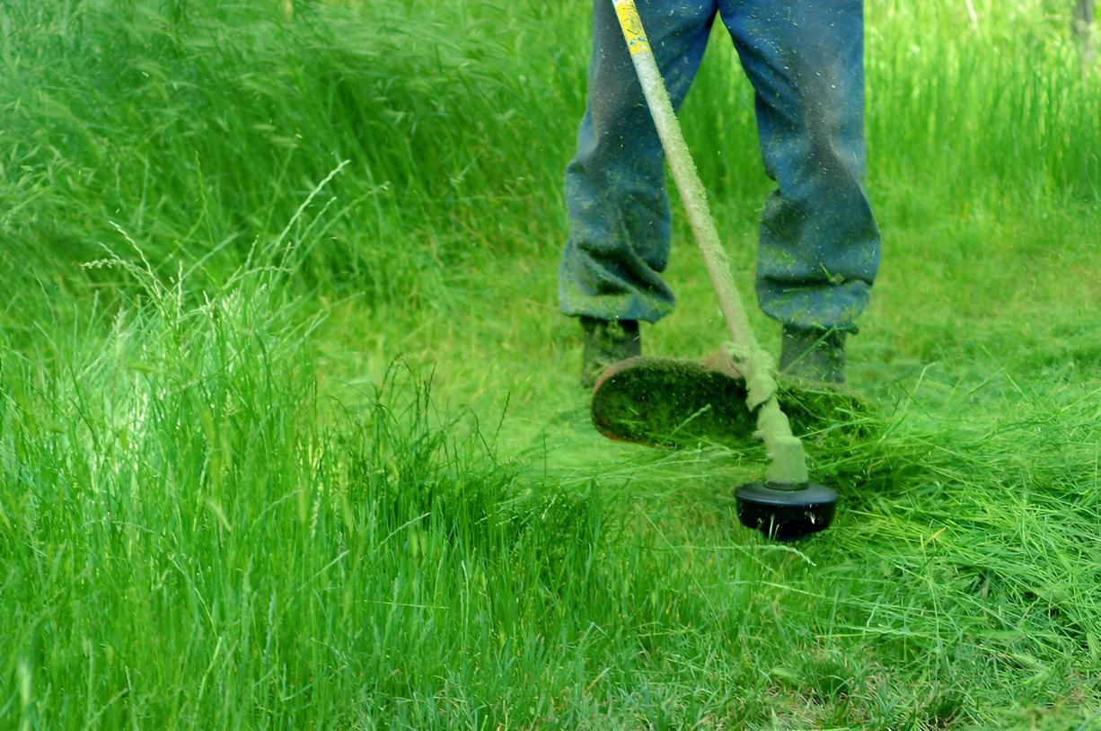 Man is Mowing the Grass With a Lawn Mower — CPR Exterior Cleaning in Svensson Heights, QLD