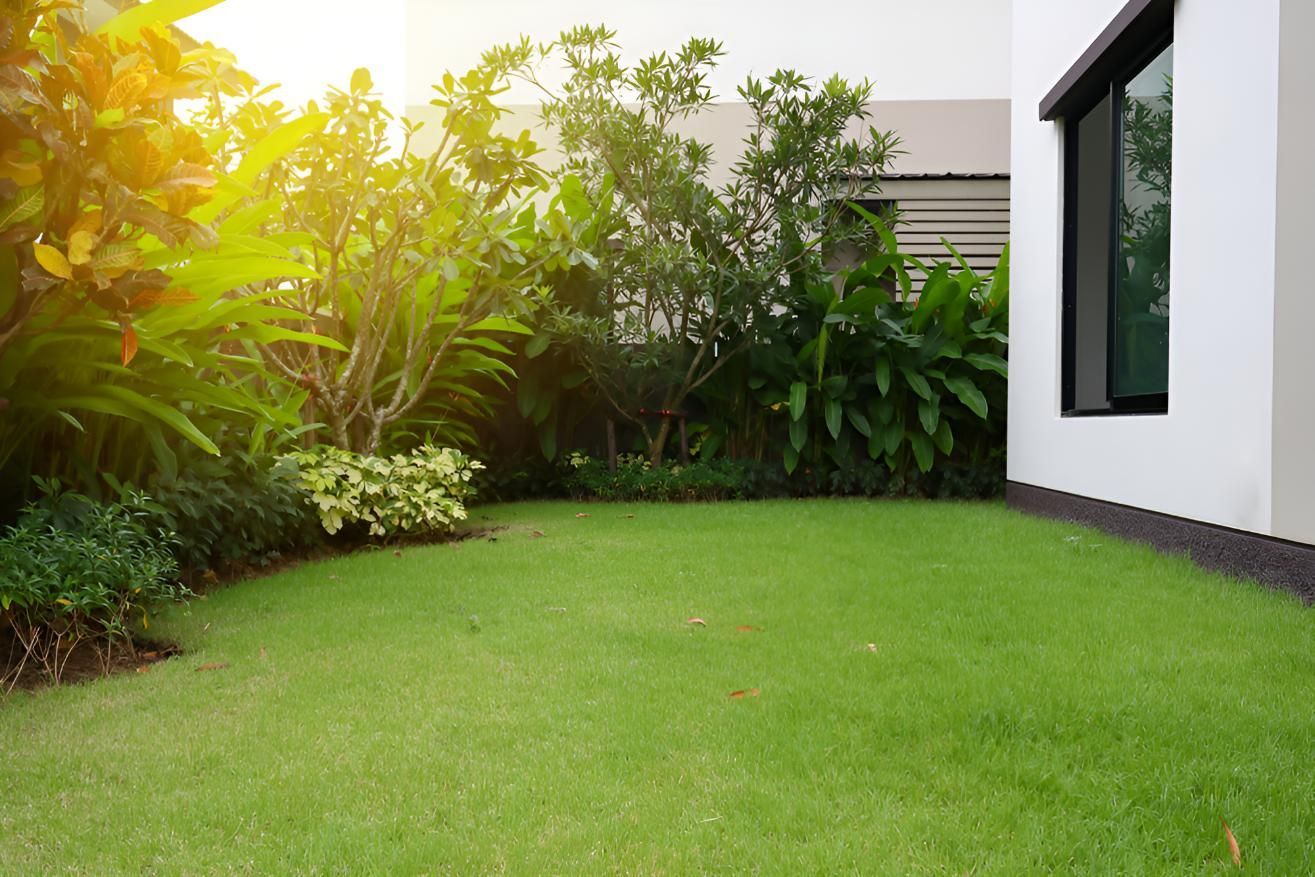 There is a Large Lawn in Front of a House — CPR Exterior Cleaning in Svensson Heights, QLD