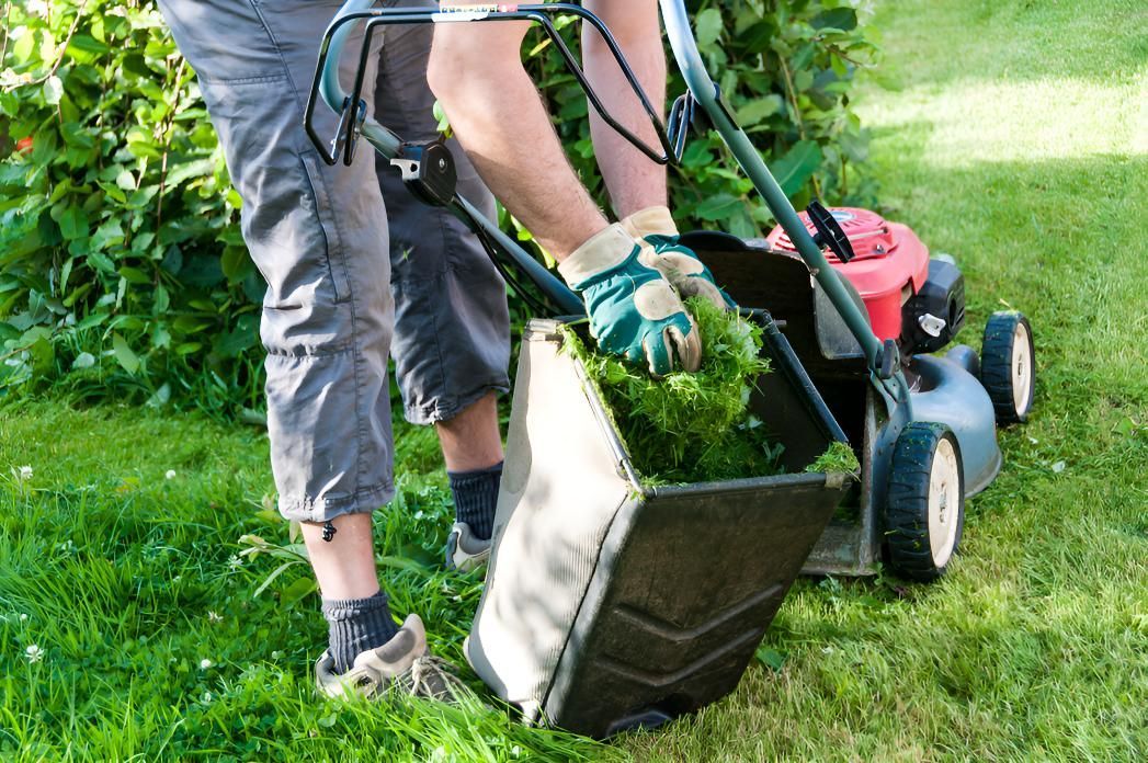 Man is Mowing the Grass With a Lawn Mower — CPR Exterior Cleaning in Svensson Heights, QLD