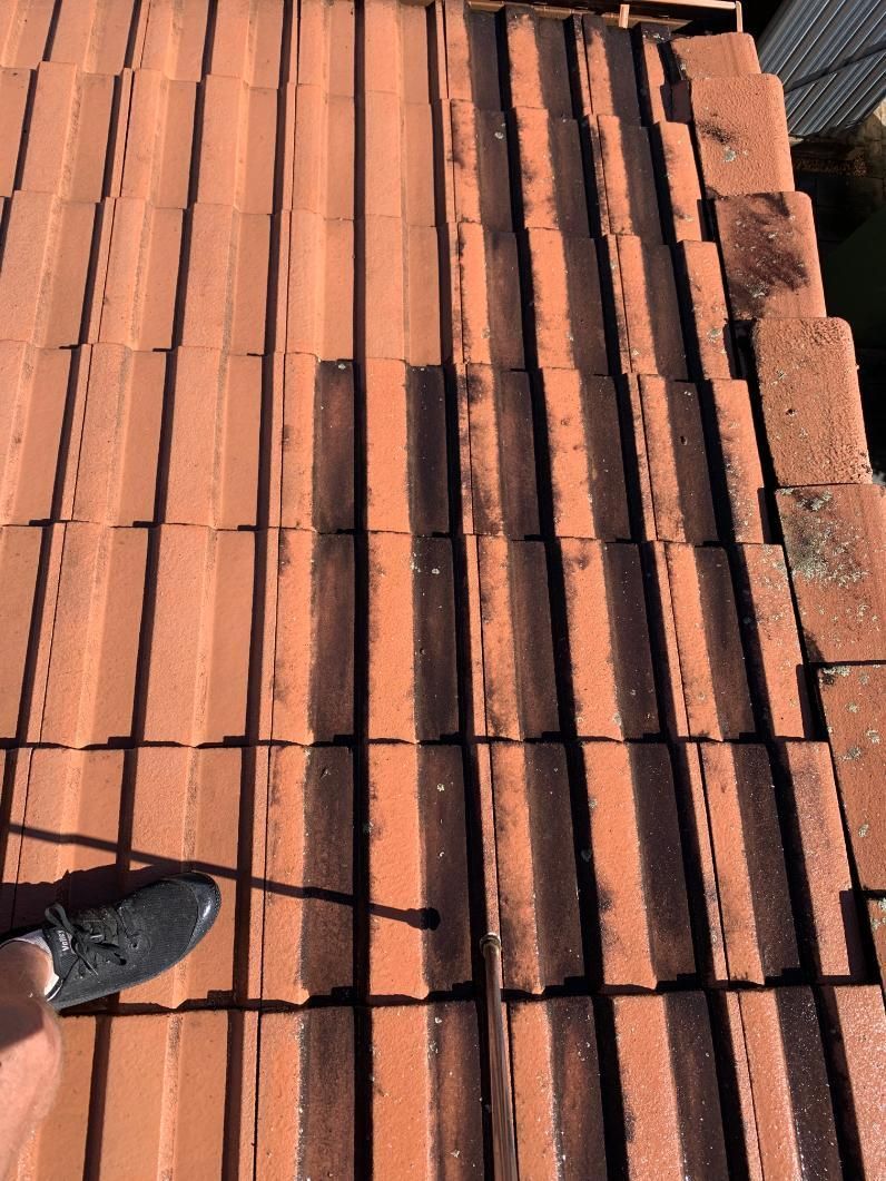 Person Cleaning a Roof — CPR Exterior Cleaning in Elliott Heads, QLD
