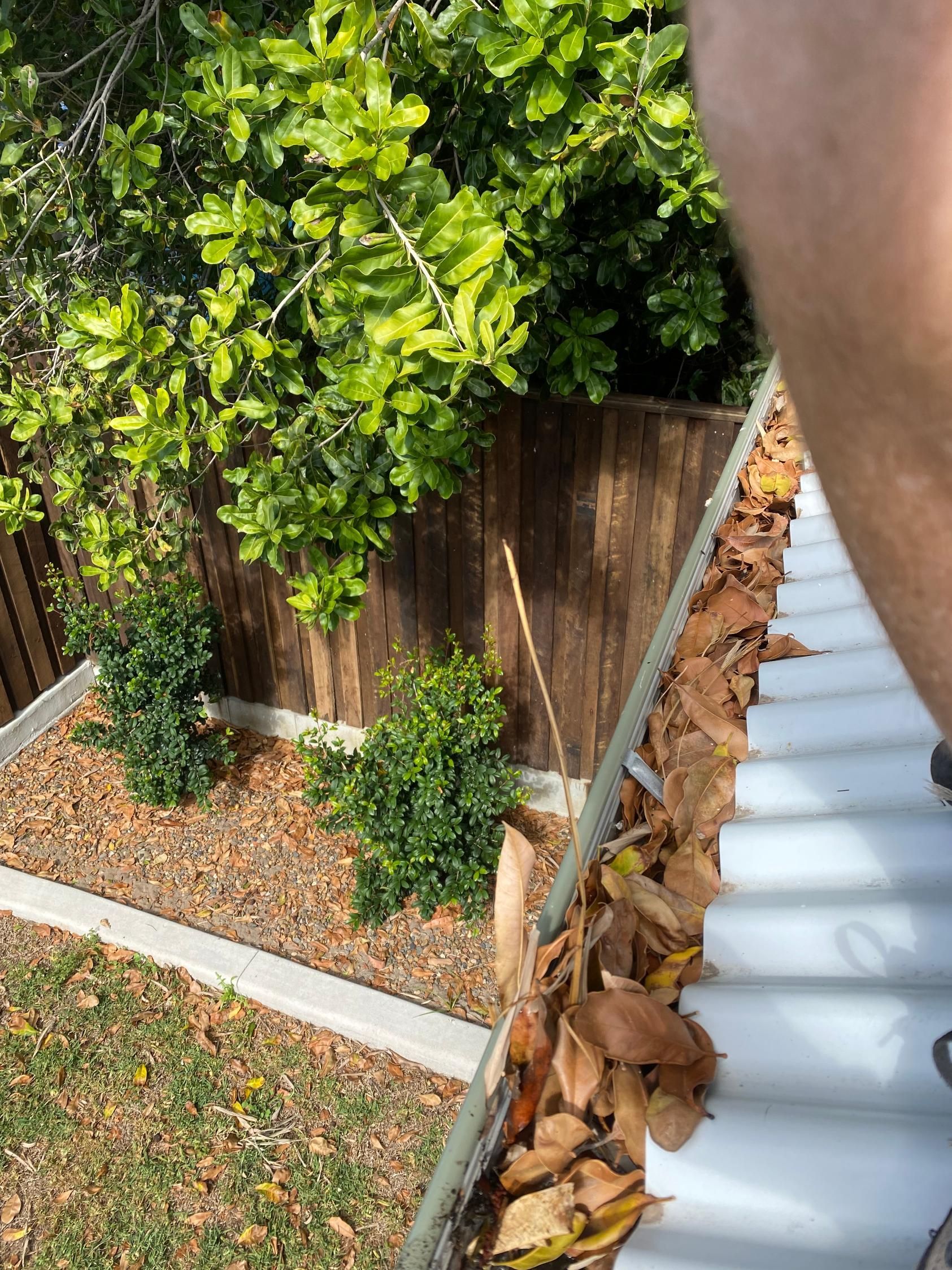 A High-angle View Looking Down at a House Gutter Filled With Dry Brown — CPR Exterior Cleaning in Moore Park Beach, QLD