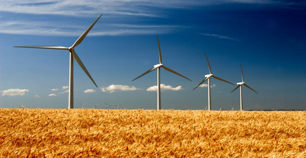 A row of wind turbines in a field