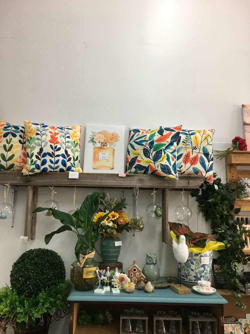 A Room Filled with Lots of Plants and Pillows on A Table — Fiori With Love in Ingham, QLD