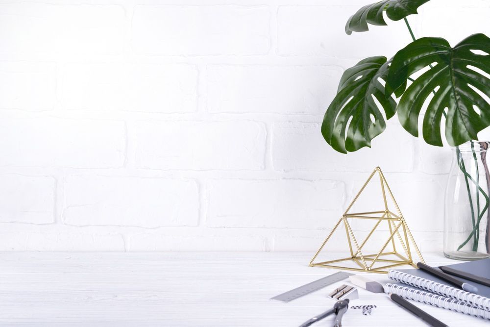 There is a Plant in a Vase on the Table — TJL Business Advisors & Accountants in Forster, NSW