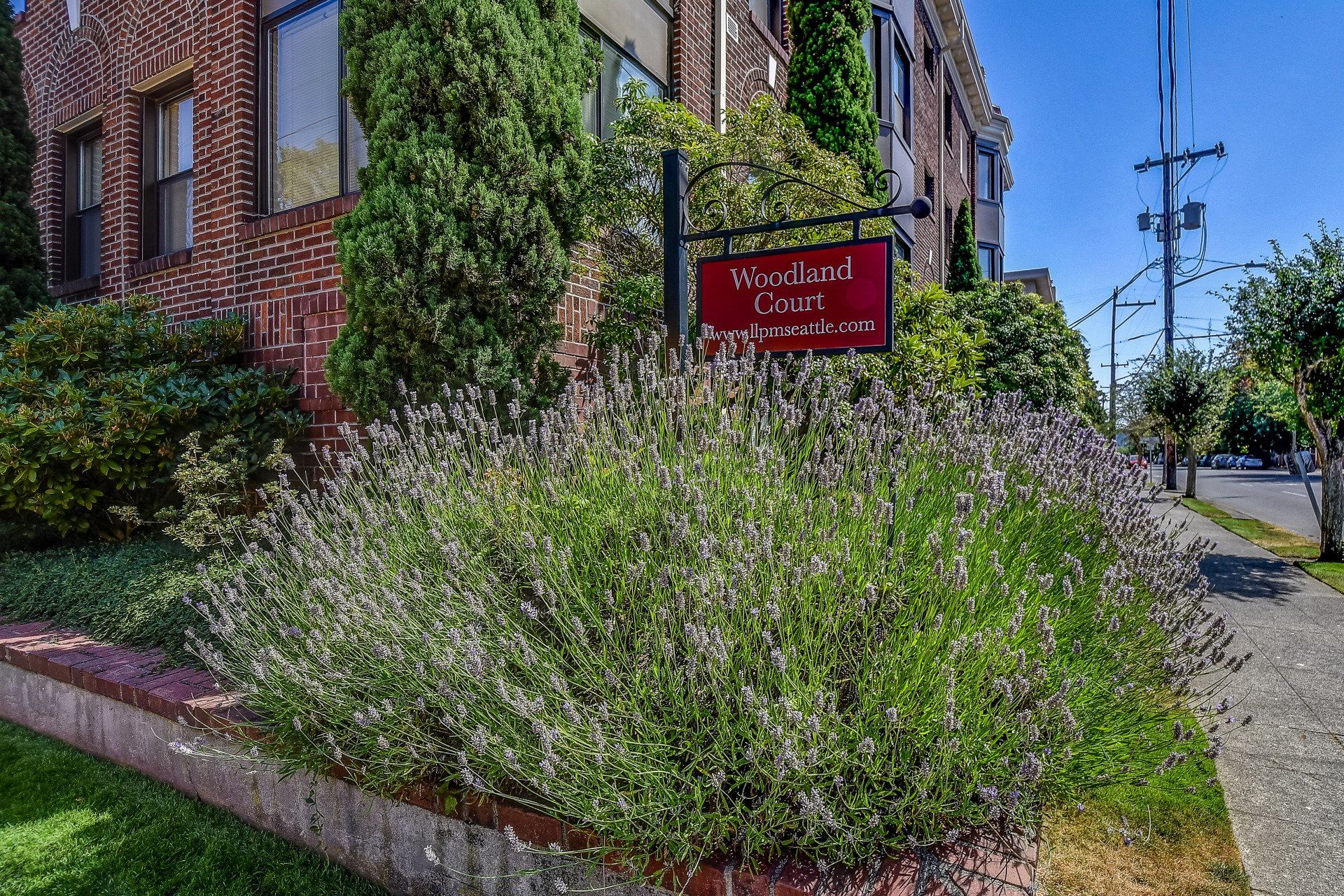 Woodland Court