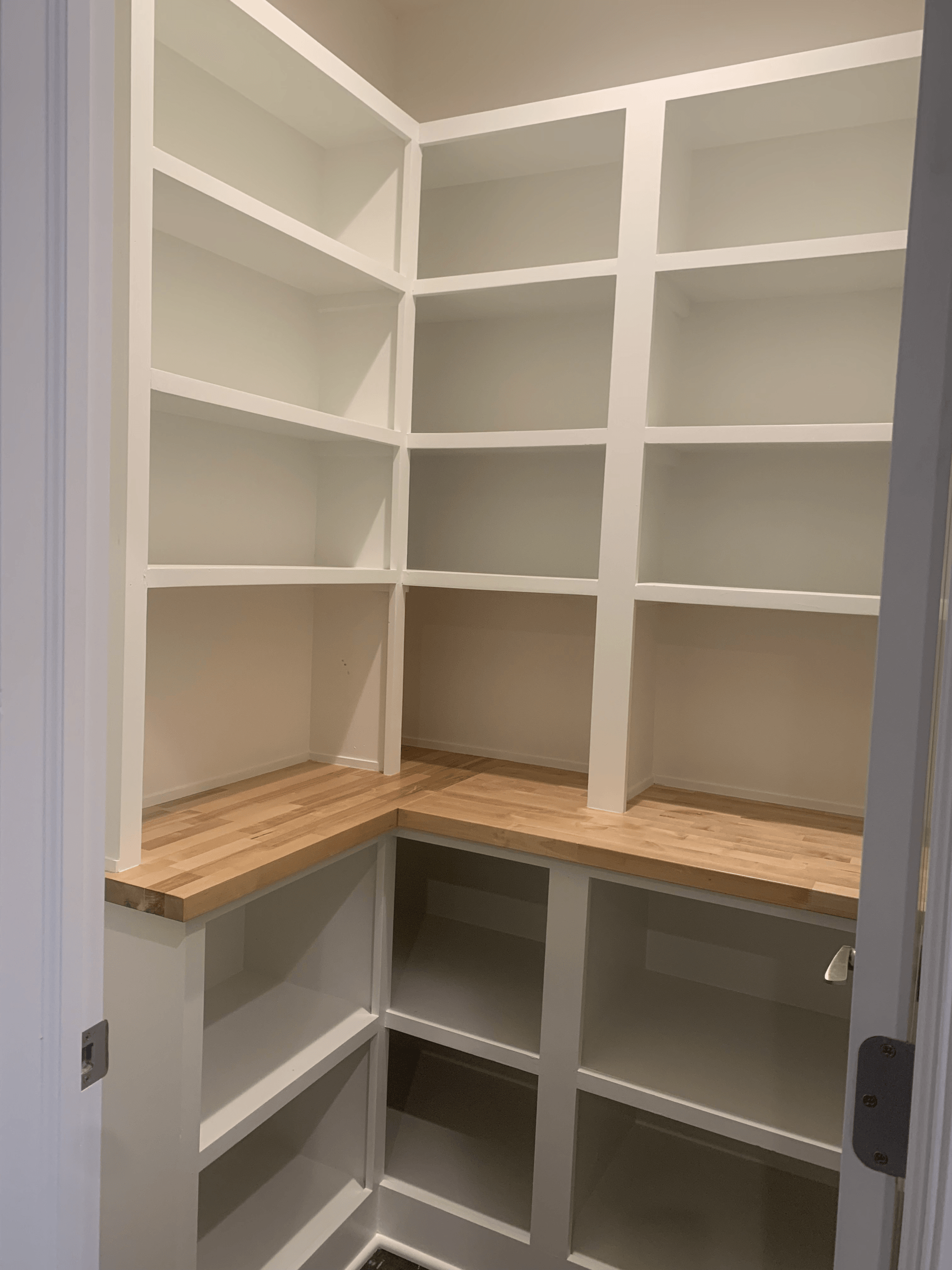 Custom walk-in closet with plenty of shelves.