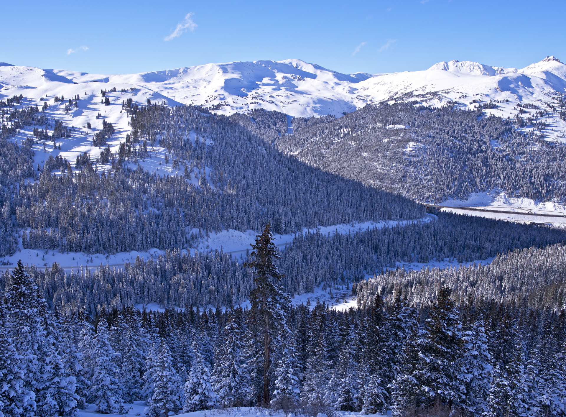 A snowy forest with mountains in the background