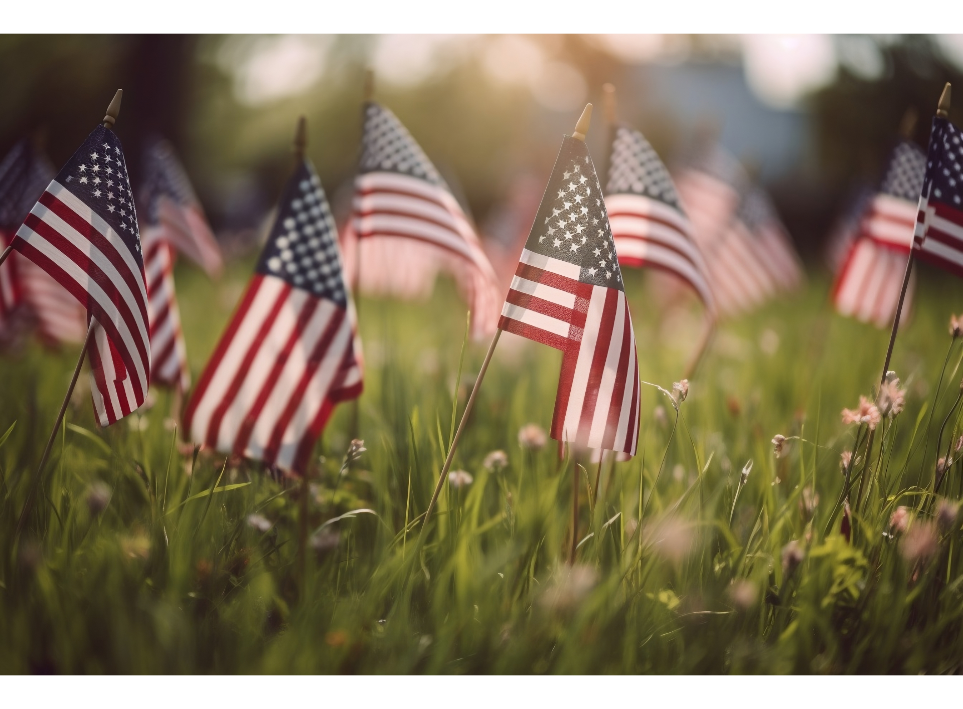 A bunch of american flags are sitting in the grass.