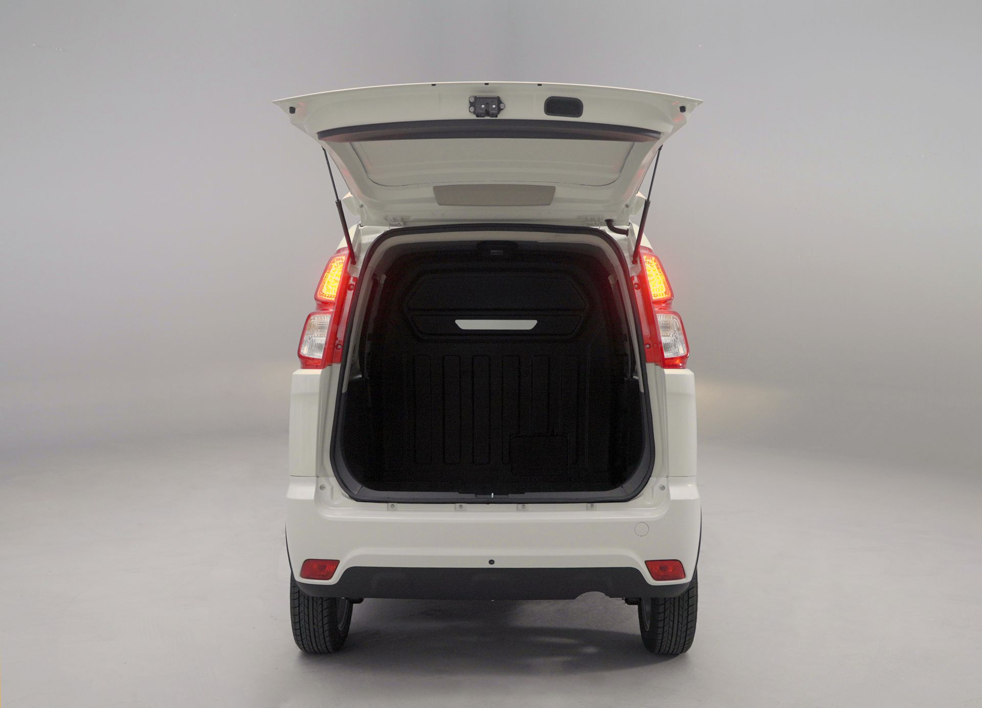 LS100 furgone commerciale elettrico leggero e compatto.