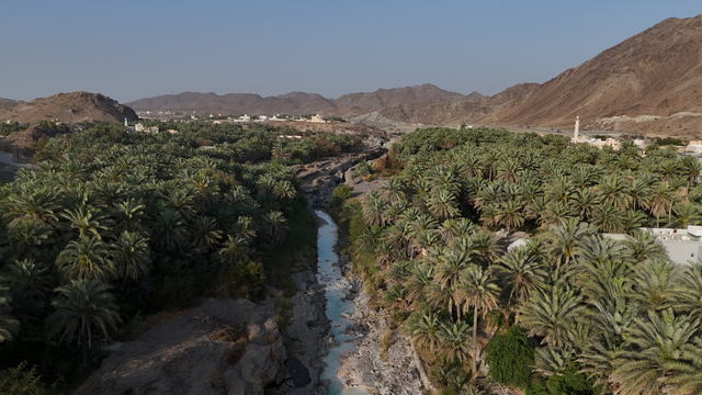 Yalangoch fotosuratlar axlat qutilarida