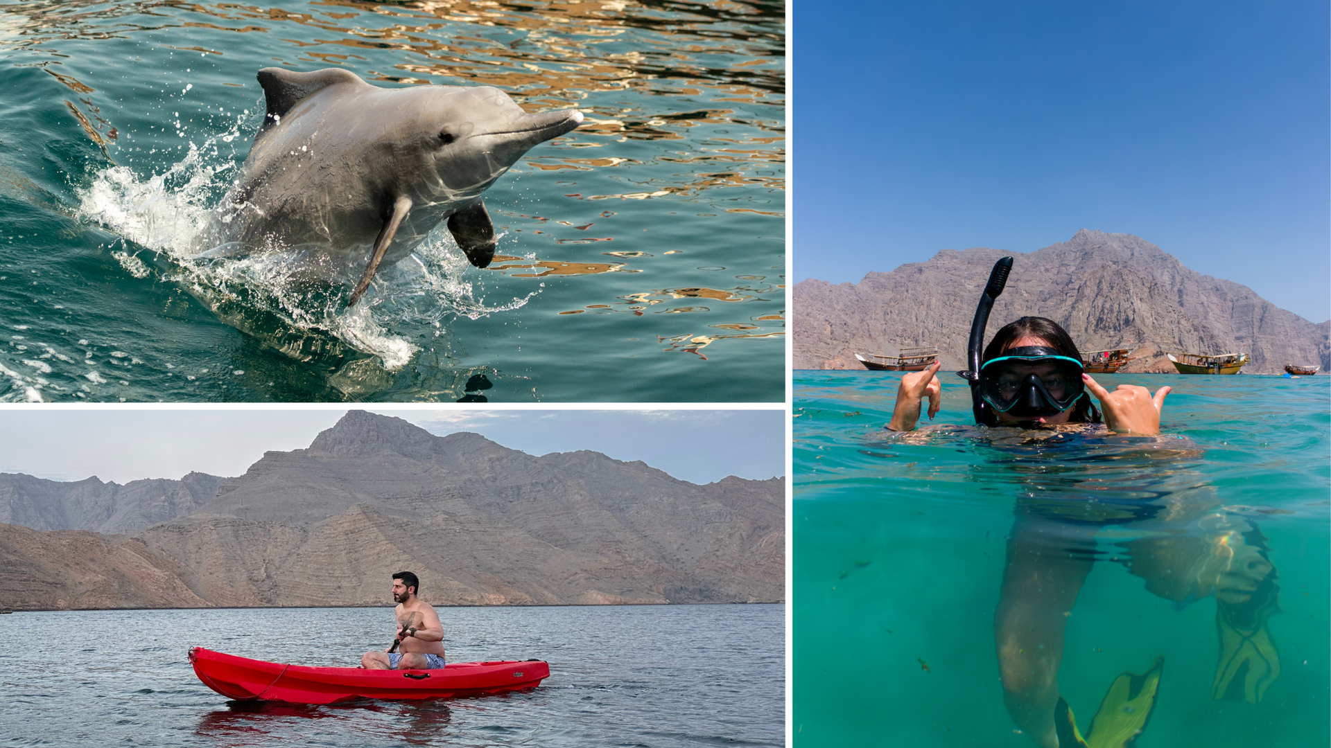 Wild dolphins, kayaking, snorkeling & swimming in the Musandam trip.