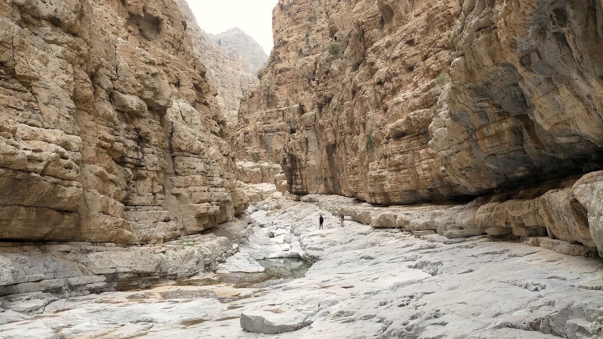 hiking in uae trails