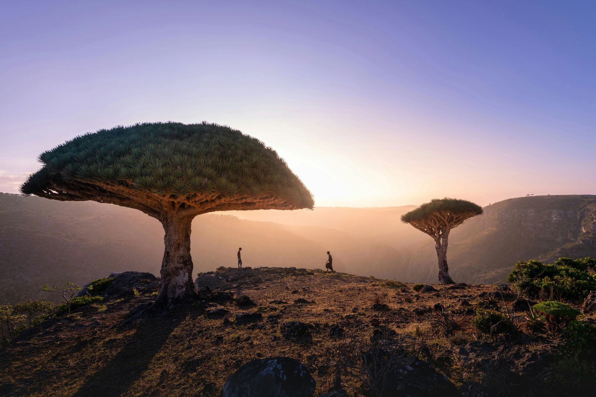 socotra-tourism