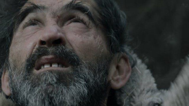 Um homem com barba está parado ao lado de uma ovelha e olhando para cima.