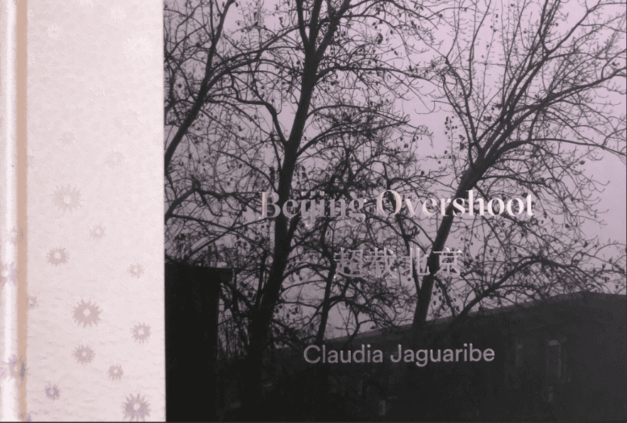 Um livro intitulado sendo ultrapassado por Claudia Jaguaribe