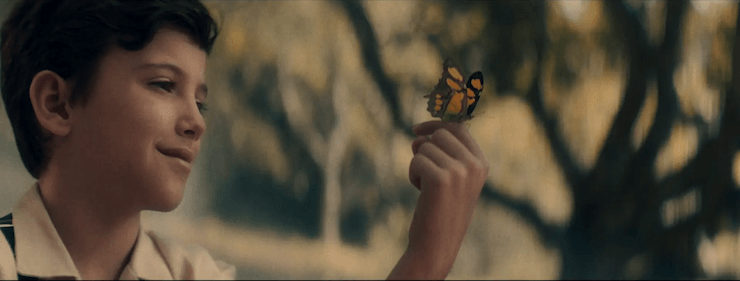 Um menino está segurando uma borboleta na mão