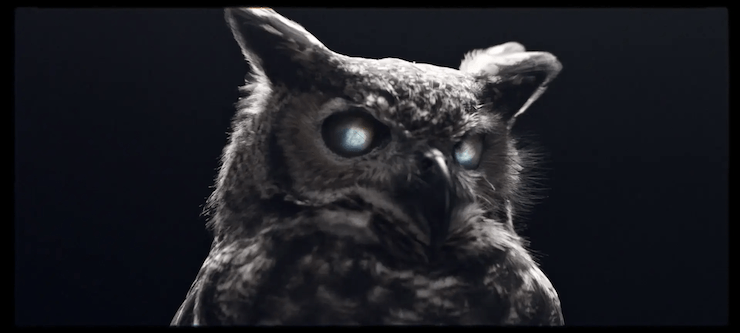 Uma foto em preto e branco de uma coruja com olhos azuis brilhantes.