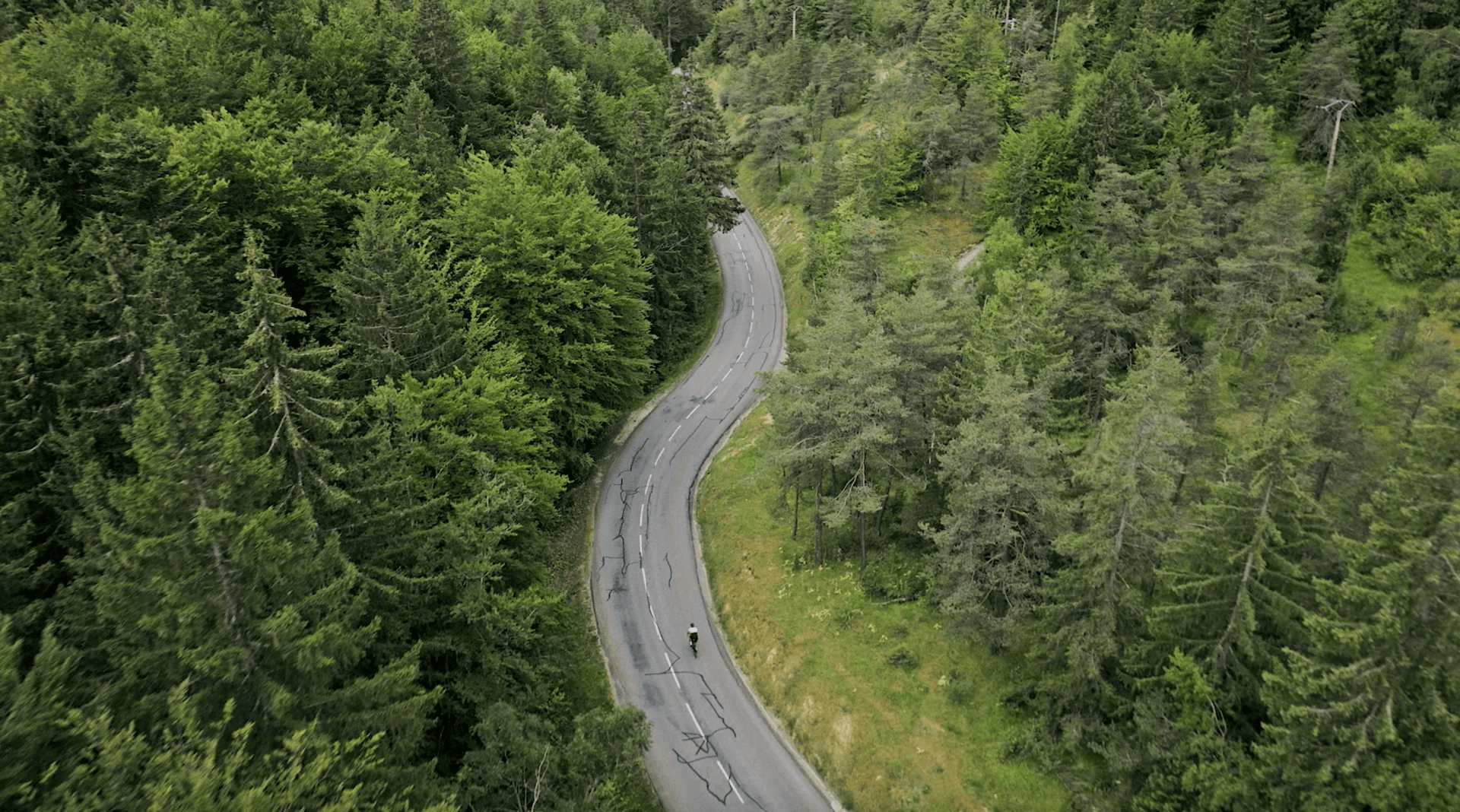 Uma vista aérea de uma estrada sinuosa cercada por árvores.