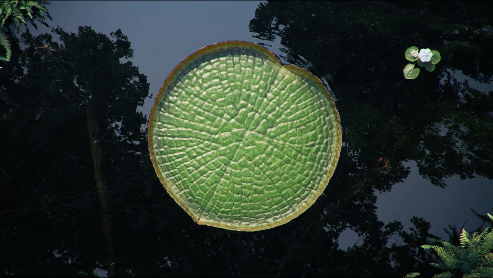 Uma grande folha verde está flutuando em cima de um corpo de água.