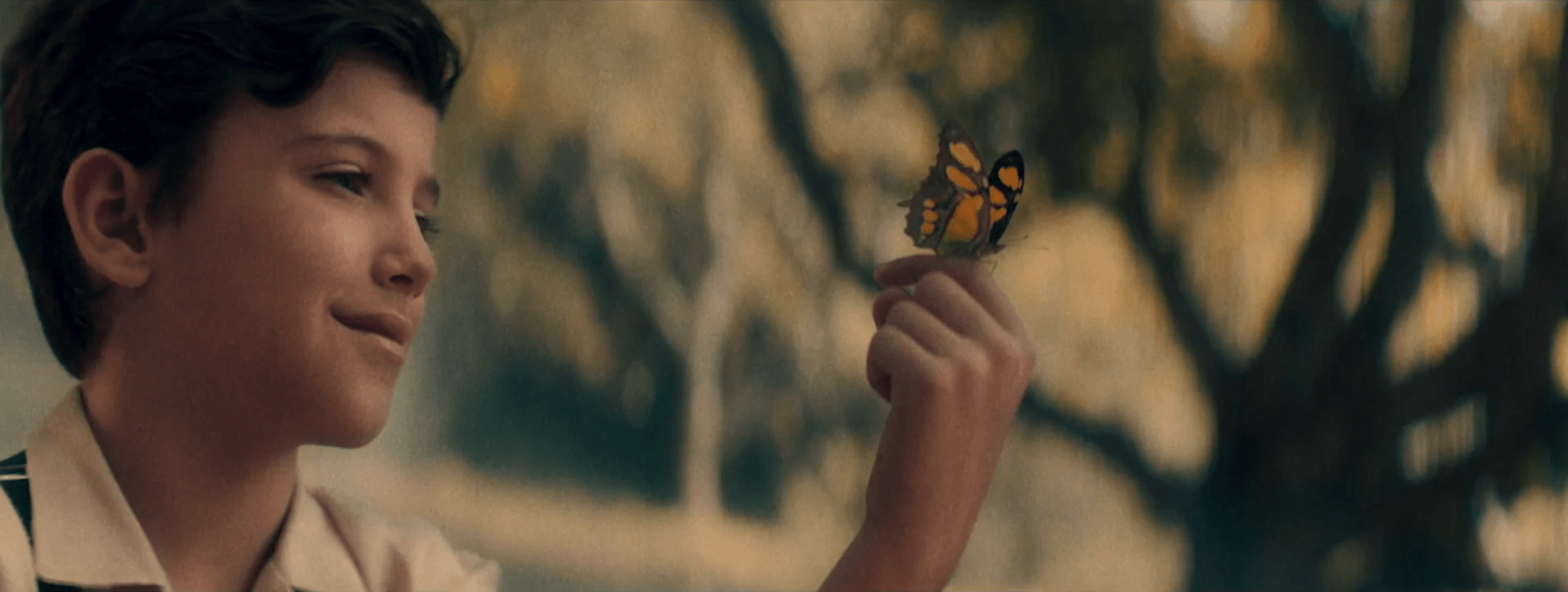 Um menino está segurando uma borboleta na mão.