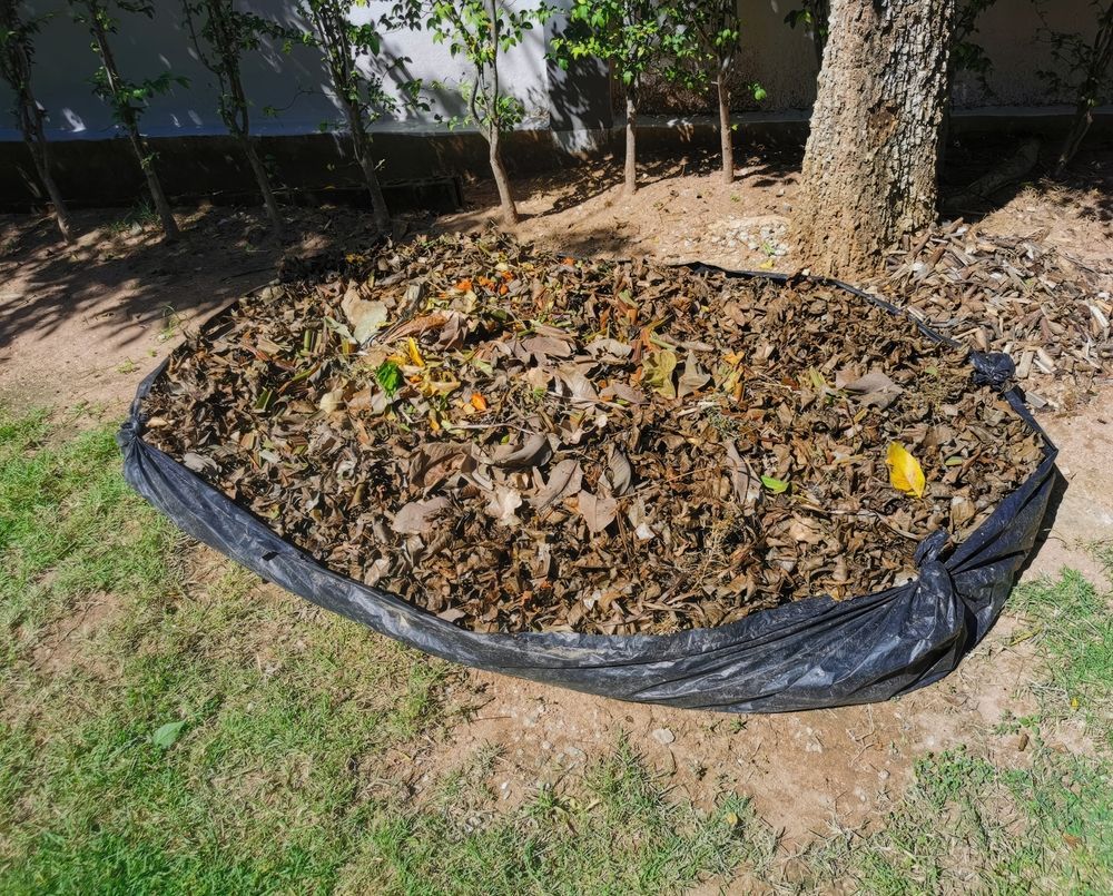 Black Plastic Bag Filled With Brown Leaves on Green Grass — Resolute Home Services In Toowoomba City, QLD