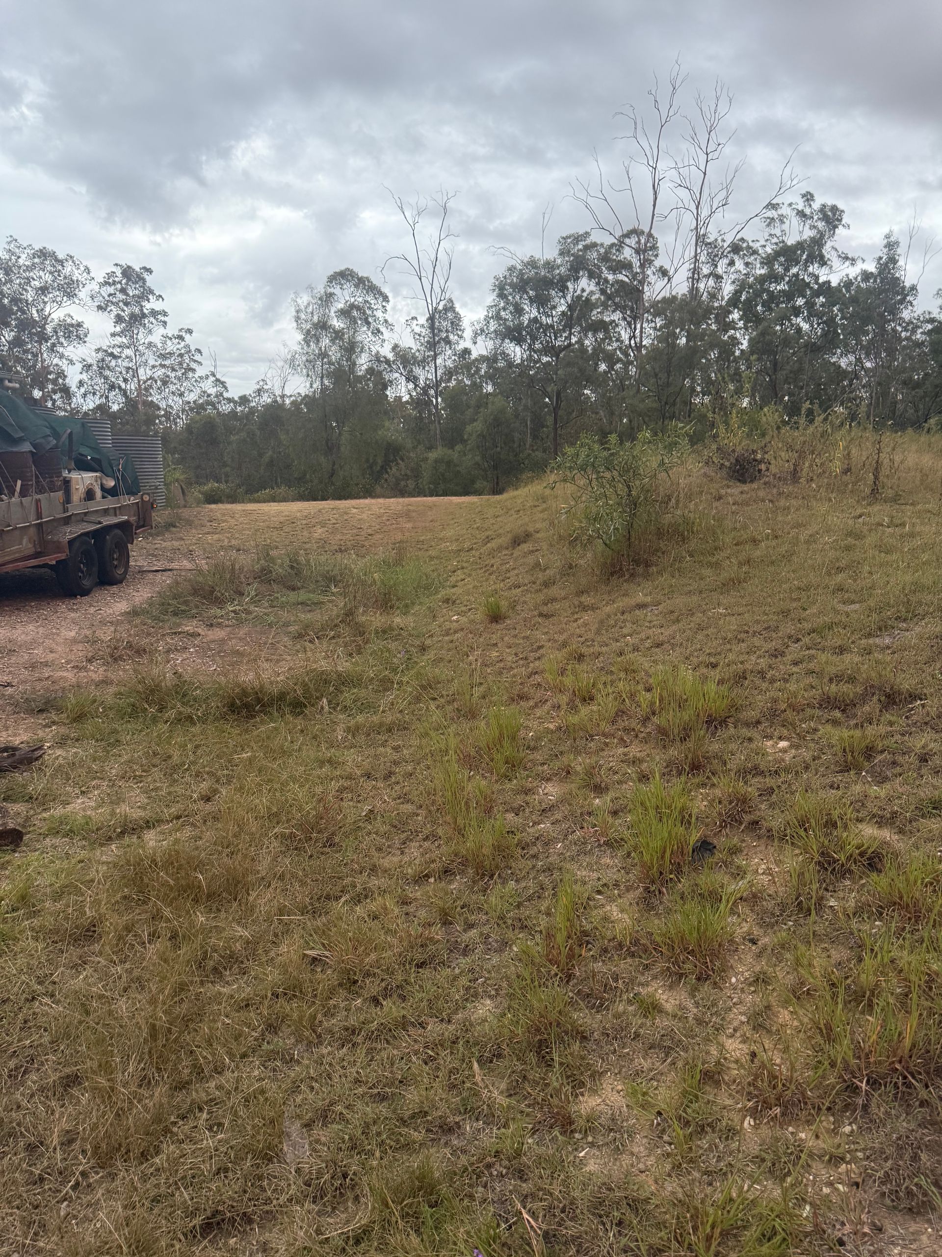 Clear, green grassy field with a tree and truck. Shrubbery. Toowoomba