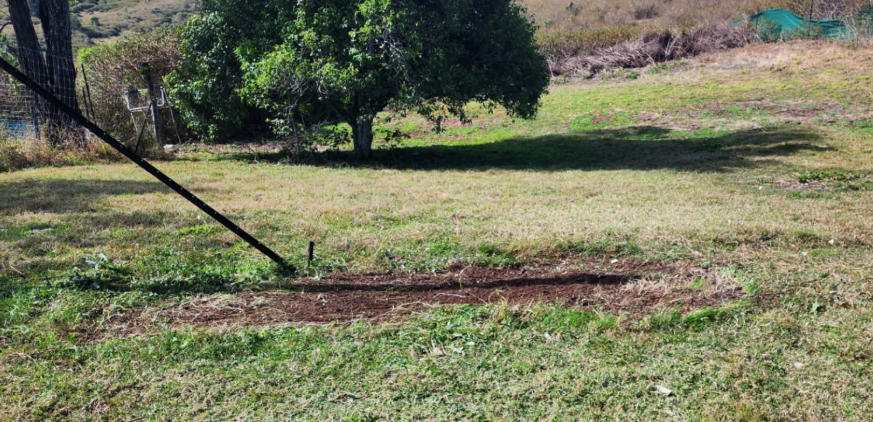 Green grassy field with a tree. A black rod is diagonally in the image. Shadow of the tree on the grass.