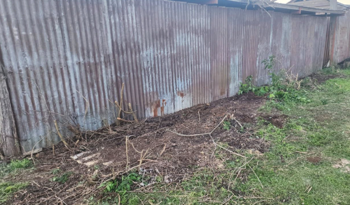 Corrugated metal wall with brown dirt and dead plants at its base, grassy area to the right.
