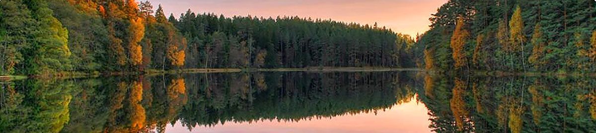 A Lake with Trees