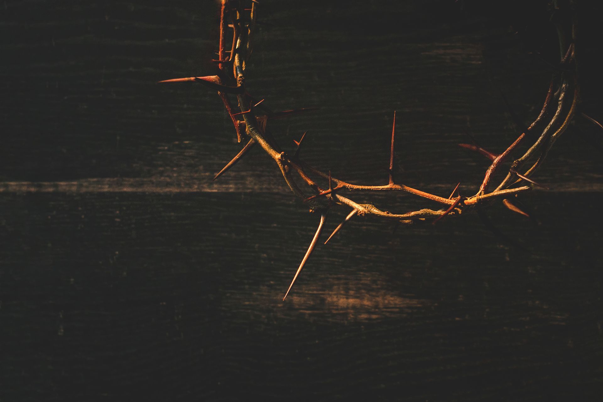 A close up of a crown of thorns on a wooden table.